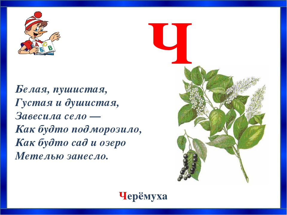 Загадки с отгадками на букву а: Загадки с ответом на букву А и про букву А для детей с ответами