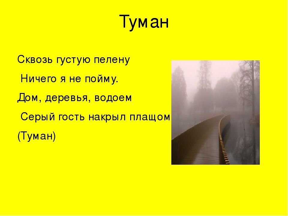 Загадка ответ лес: Загадки про деревья для детей с ответами