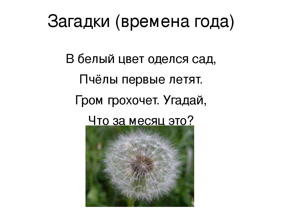 Загадки по временам года: Загадки про времена года