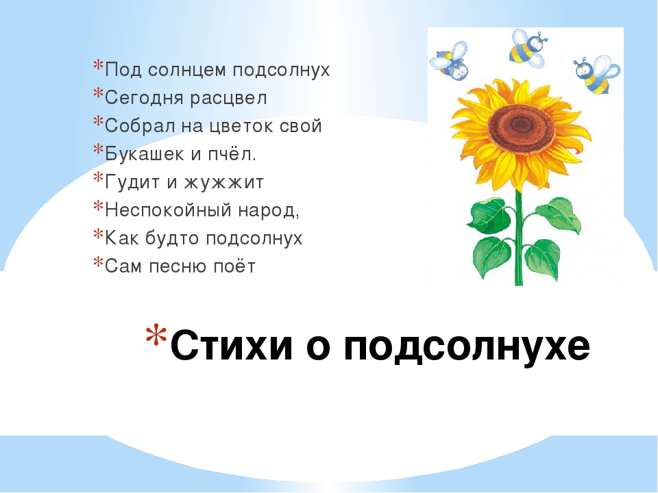 Подсолнух загадки для детей: Загадки про подсолнух для детей с ответами