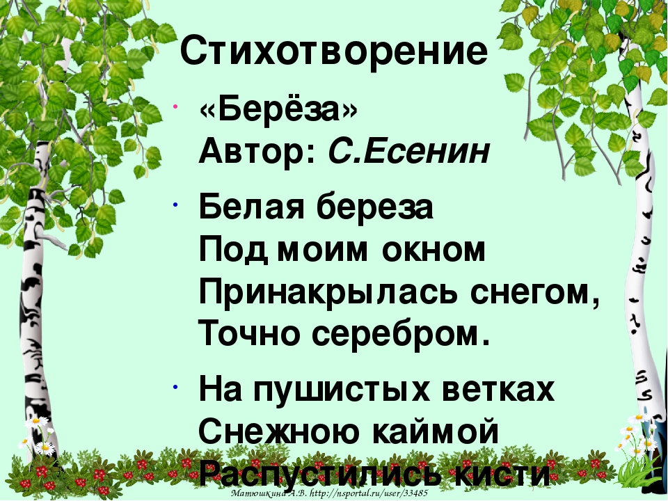 Загадки о березе для детей: Загадки про березу с ответами