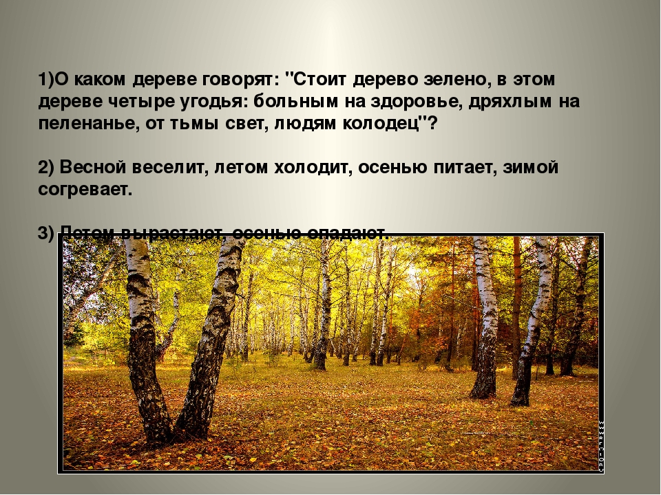 Загадка весной веселит летом холодит осенью питает зимой согревает отгадка: Загадка:Весной веселит,летом холодит,осенью питает,зимой согревает.