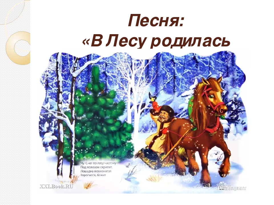 Песня в лесу родилась елочка без слов: Песня В лесу родилась елочка | минус