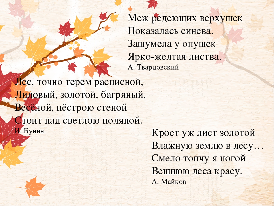 Стихи про осень для школы: Сценарии осеннего праздника (осень в школе и детском саду)