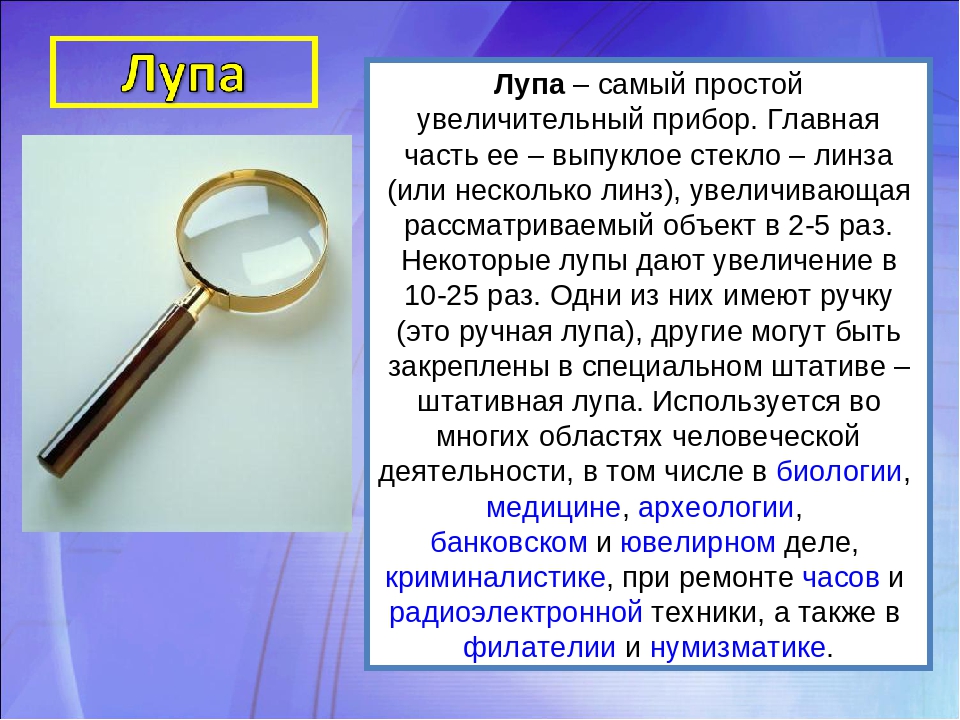 Загадки для детей про лупу: загадки на тему лупа скорей пожалуйста придумайте