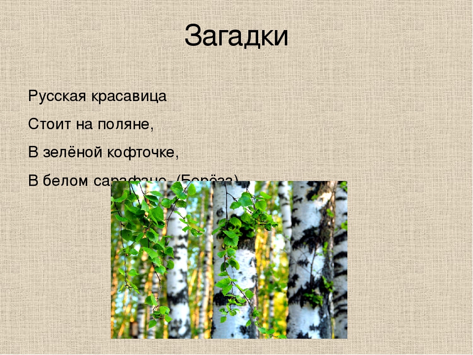 Загадка в белом сарафане встала на поляне ответ: Помогите пожалуйста отгадать загадку.
В белом сарафане
Встала на поляне.
Что это может быть?