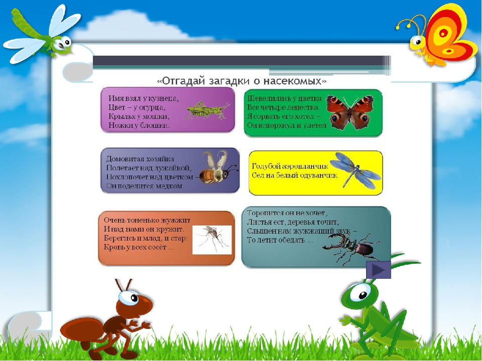 Загадки про насекомых с ответами: Загадки про жука с ответами