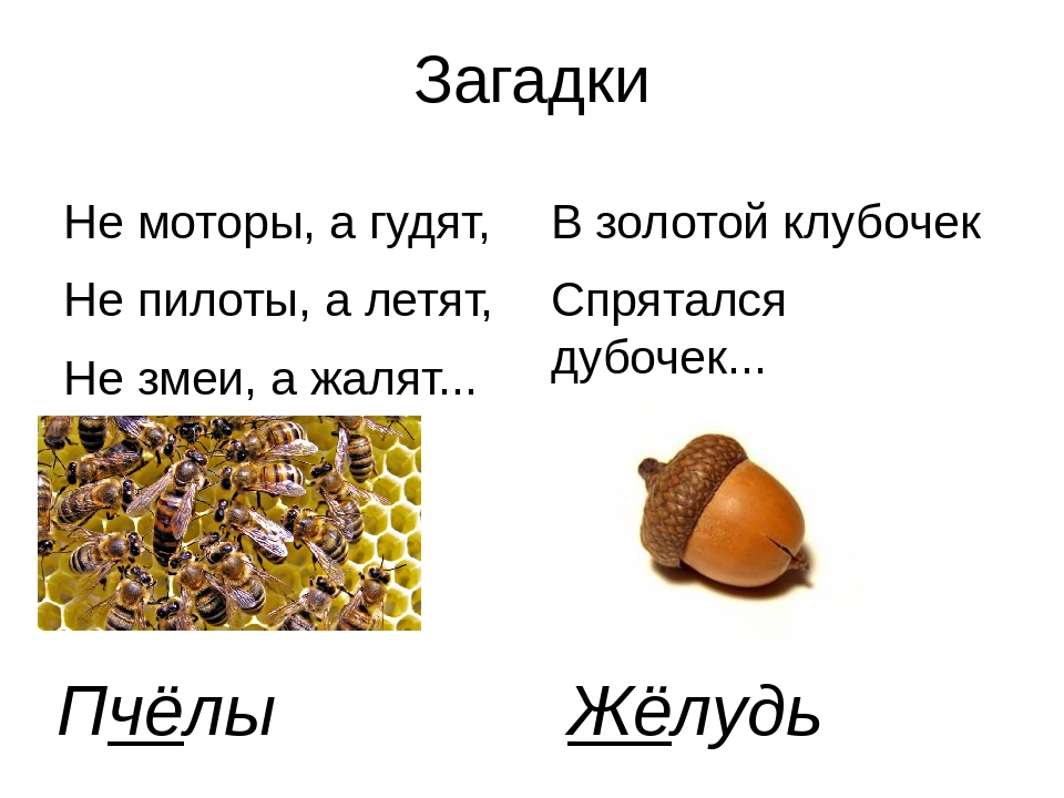 Загадка мягок а не пух зелен а не трава: мягок , а не пух . зелён , а не трава