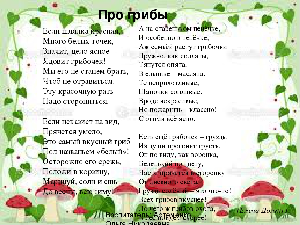 Грибы текст. Грибы песня. Песенка про грибы. Песня про грибы для детей текст. Грибы грибочки текст.