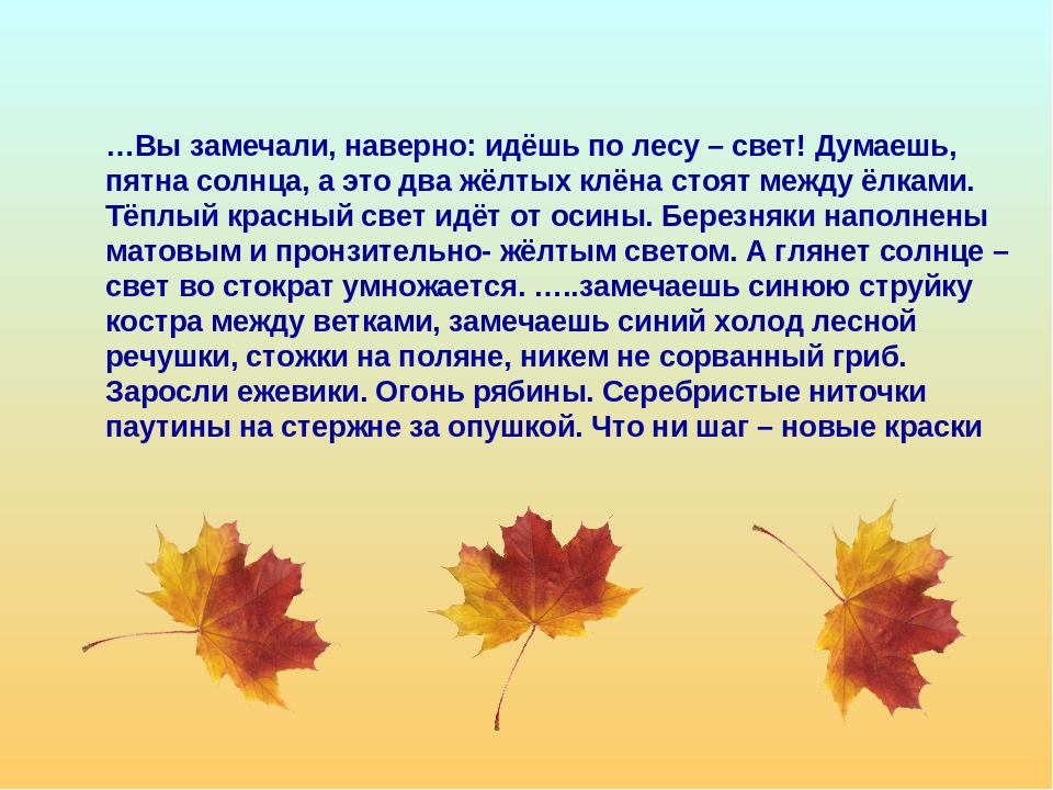 Сказка про листик осенний: Сказка об осеннем листке. Аленка Статова