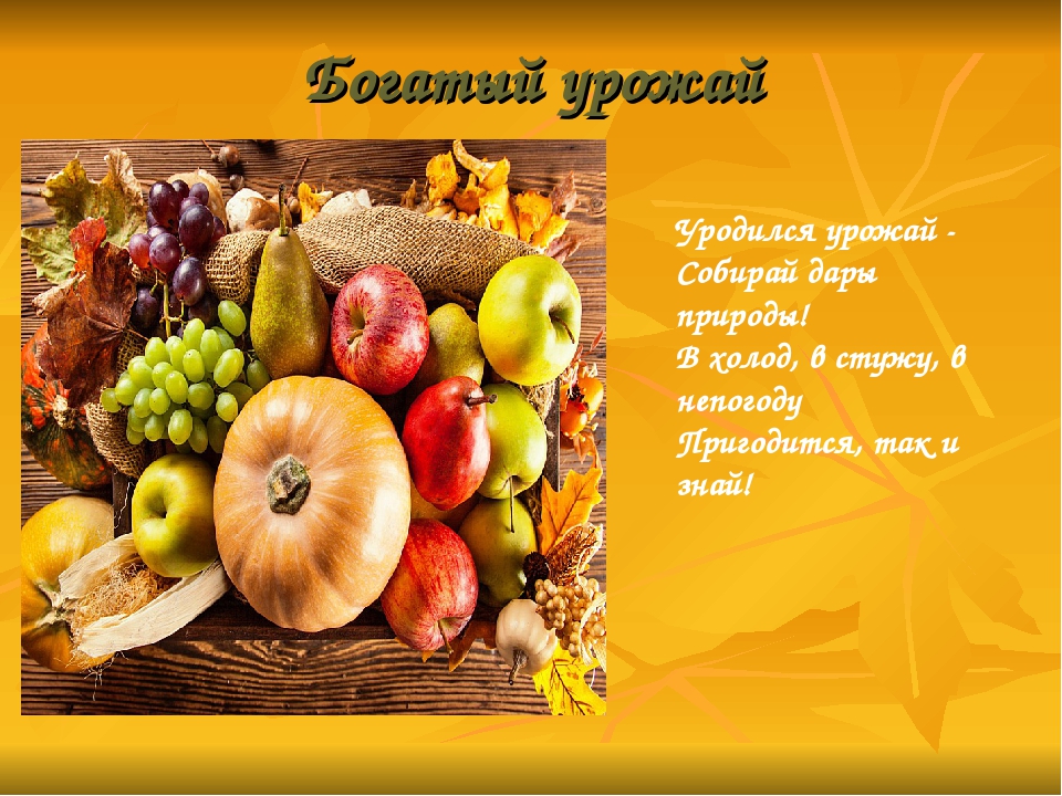 Стихи про урожай осенью: Стихи на праздник урожая🥕🥕50 идеальных стихотворений со смыслом