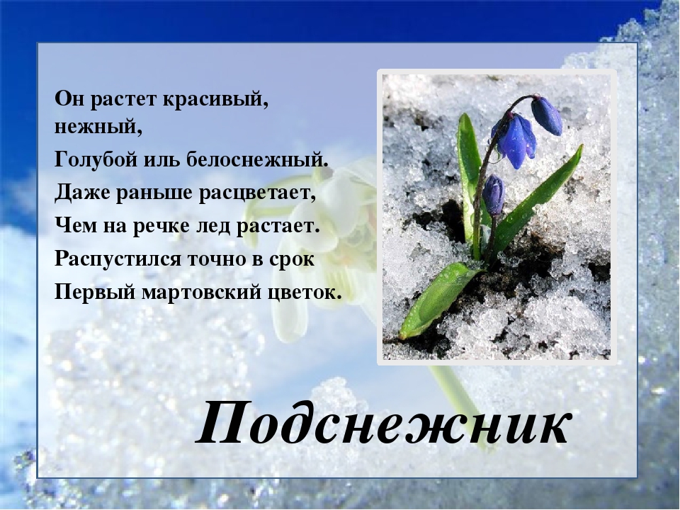 Загадки про весну детские: Классные загадки про весну с ответами