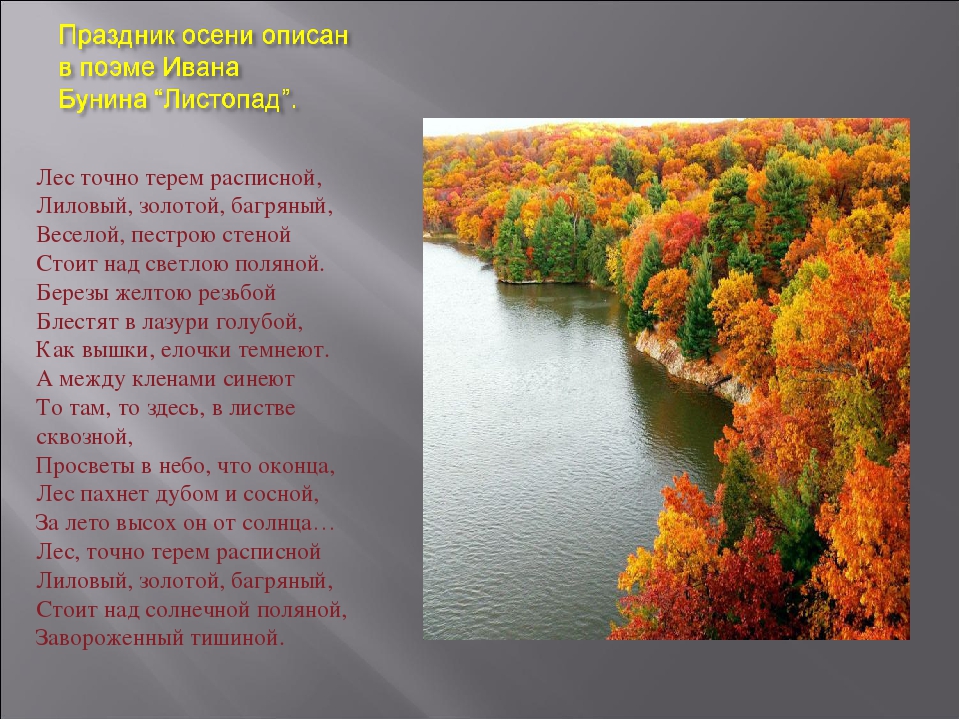 Детские стихи про листопад: Стихи для детей про осень и листопад.