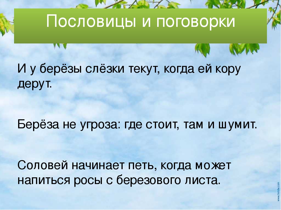 Загадка в белом сарафане встала на поляне ответ: Помогите пожалуйста отгадать загадку.
В белом сарафане
Встала на поляне.
Что это может быть?