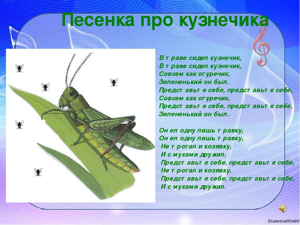 Песня в траве сидел кузнечик совсем как огуречик: Песня В траве сидел кузнечик слушать онлайн и скачать