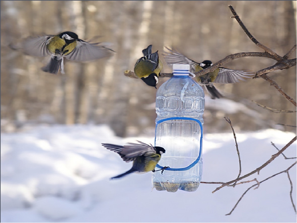 Кормушка для птиц из пластиковой бутылки: Чтобы птицы смогли выжить в суровые морозы, чтобы смогли прокормить себя и сохранить энергию, им необхо…