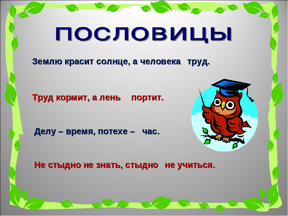 Пословица землю красит а человек: Пословица «Землю красит солнце, а человека труд»: значение, смысл