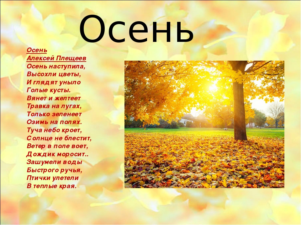 Стих осень наступила стали дни короче: Алексей Плещеев - Осенняя песенка: читать стих, текст стихотворения полностью