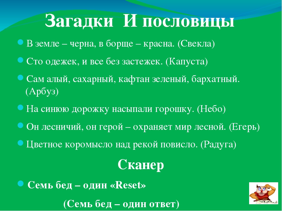 Загадка ответ лес: Загадки с ответом лес