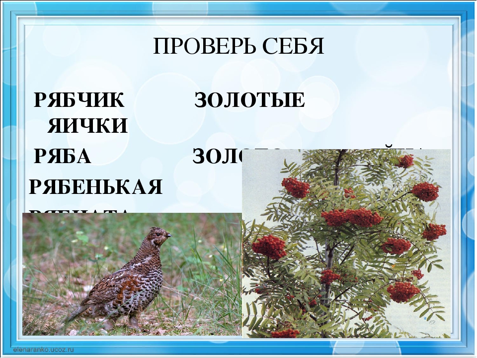 Ответ шапочка алая кафтанчик рябенький: Пожалуйста отгадайте загадки1)семьсот соловьят на подушках сидят.                                               2)шапочка алая,кафтанчик рябенький.            3)белы хоромы,красны подпоры.                                                                                           4) не прядёт,не ткёт,а людей одевает.                       5) у ног кузовок кто за ней ходит,того она и кормит. — Знания.site