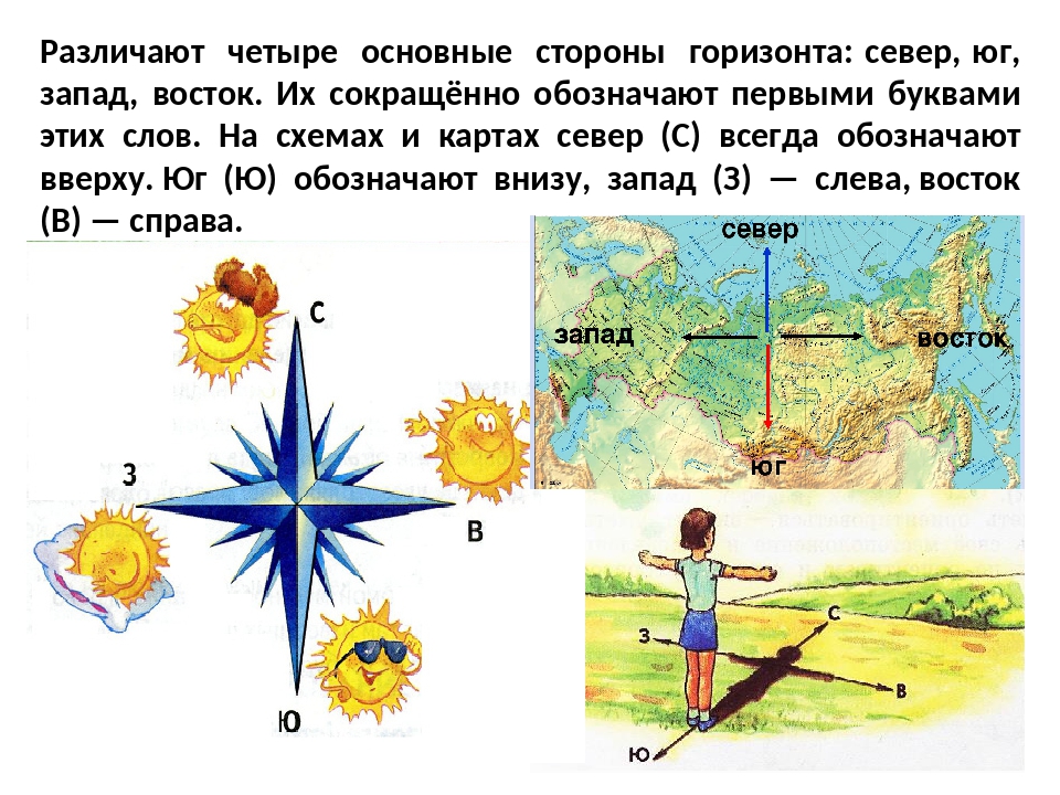 Загадки про компас: Загадки о компасе для детей