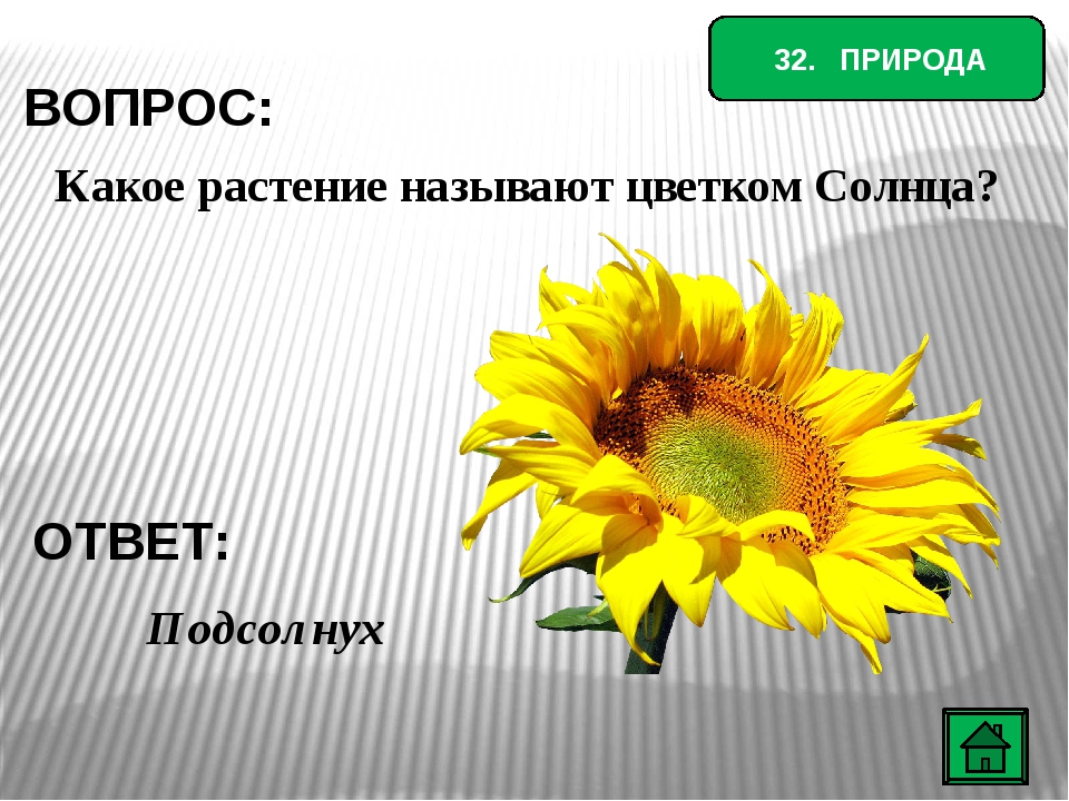 Два братца в воду глядятся век не сойдутся ответ загадка: WS - Загадка: Два братца в воду глядятся, век не сойдутся - разгадка