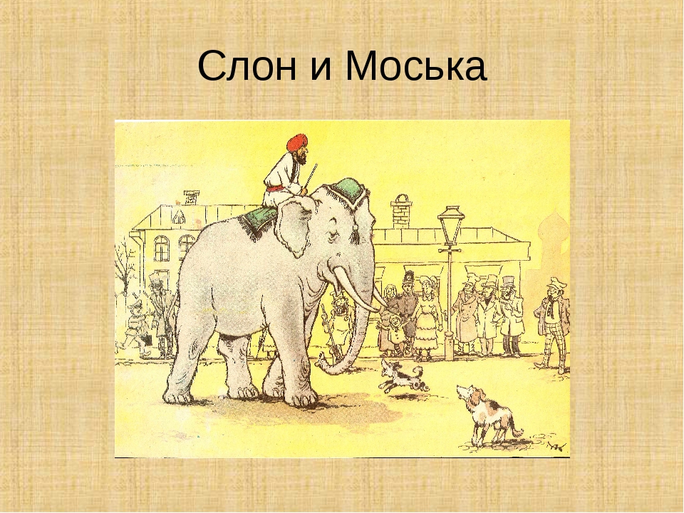 Мультик слон и моська смотреть онлайн: Слон и Моська - смотреть онлайн мультфильм бесплатно в хорошем качестве