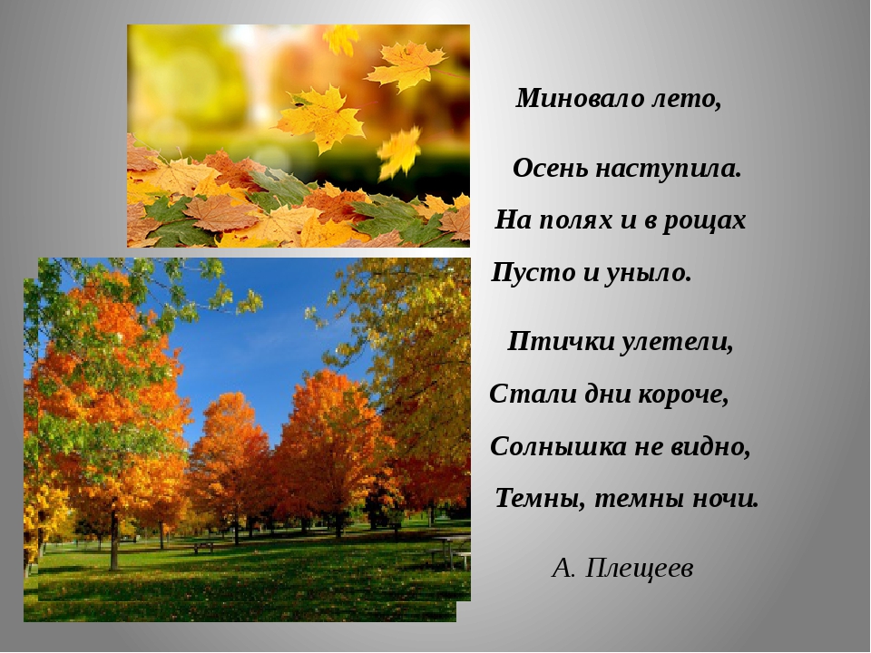 Стих осень наступила стали дни короче: Алексей Плещеев - Осенняя песенка: читать стих, текст стихотворения полностью