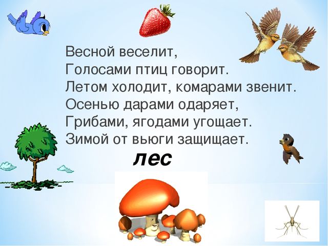 Загадка весной веселит летом холодит осенью питает зимой согревает отгадка: Загадка:Весной веселит,летом холодит,осенью питает,зимой согревает.