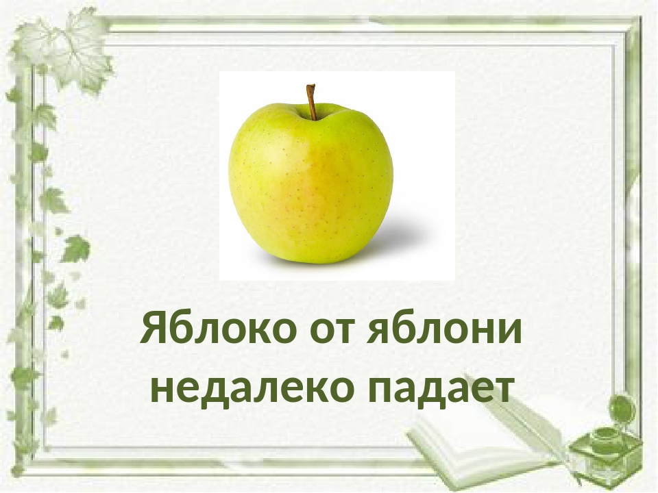Яблоко от яблони пословицы: Яблоко от яблони недалеко падает: Смысл пословицы, значение