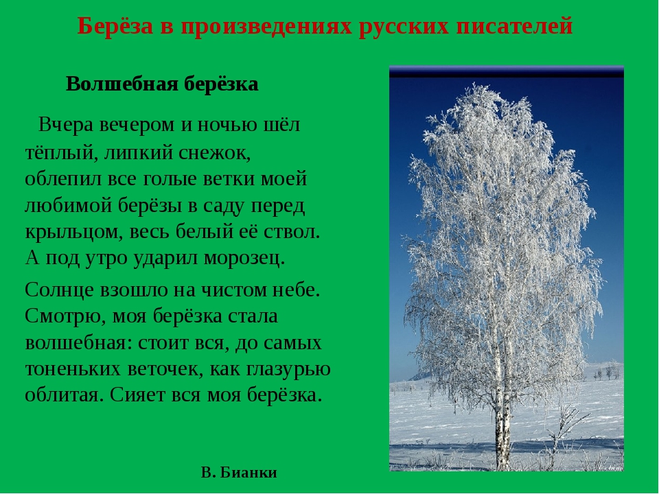 Загадка зимой лежал весной побежал: загадка зимой на земле лежал А весной в реку побежал