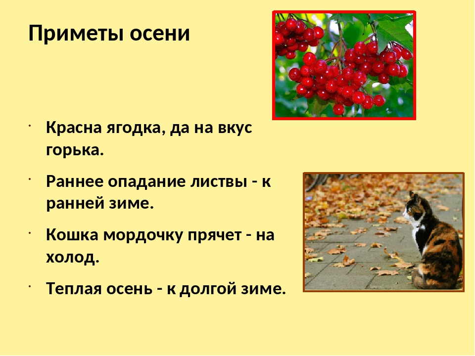 Загадки и приметы про осень: ЗАГАДКИ, ПОСЛОВИЦЫ, ПРИМЕТЫ, ПОГОВОРКИ И СТИХИ ПРО ОСЕНЬ - Мои файлы - Каталог файлов