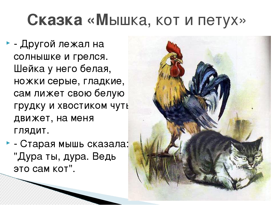Сказка про петушка и кота: Петух и Кот Ушинский сказка с иллюстрациями