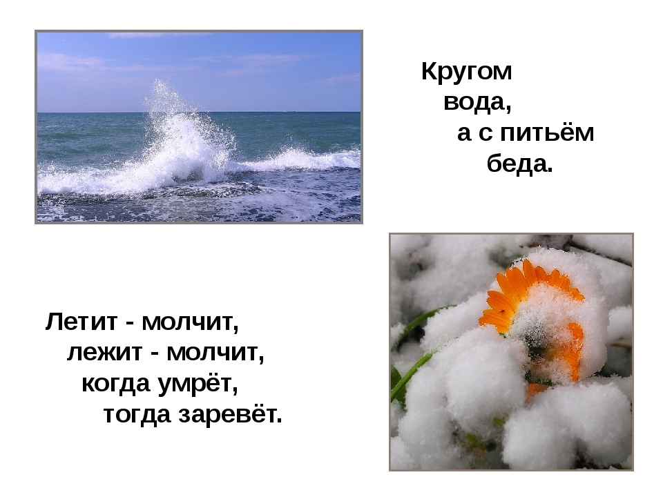 Что это кругом вода а с питьем беда: Отгадайте загадку кругом вода, а с питьем беда ? Срочно ;​