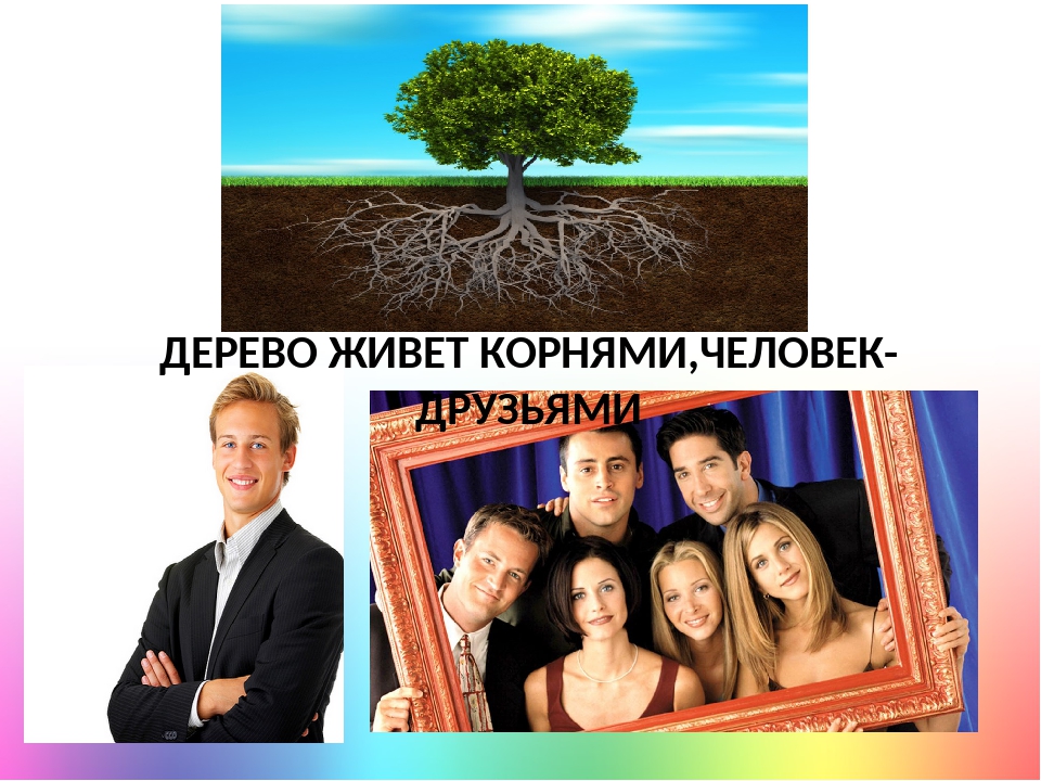 Дерево держится: Дерево держится корнями, а человек семьей