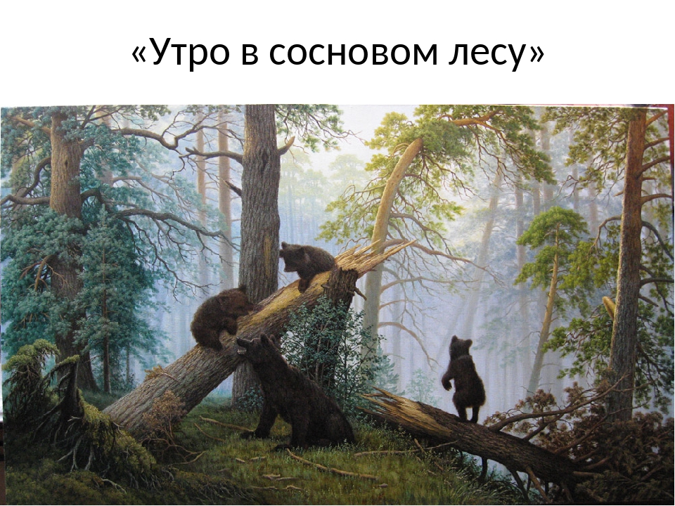 Сколько медведей на картине шишкина утро в сосновом лесу: Утро в сосновом лесу. Иной взгляд на шедевр Шишкина