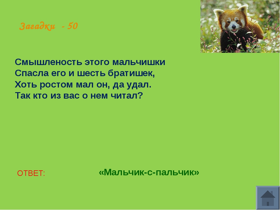 Загадки о домашних и диких животных с ответами: Загадки про домашних и диких животных для детей с ответами