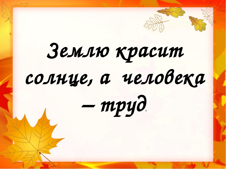 Пословица землю красит а человек: Пословица «Землю красит солнце, а человека труд»: значение, смысл