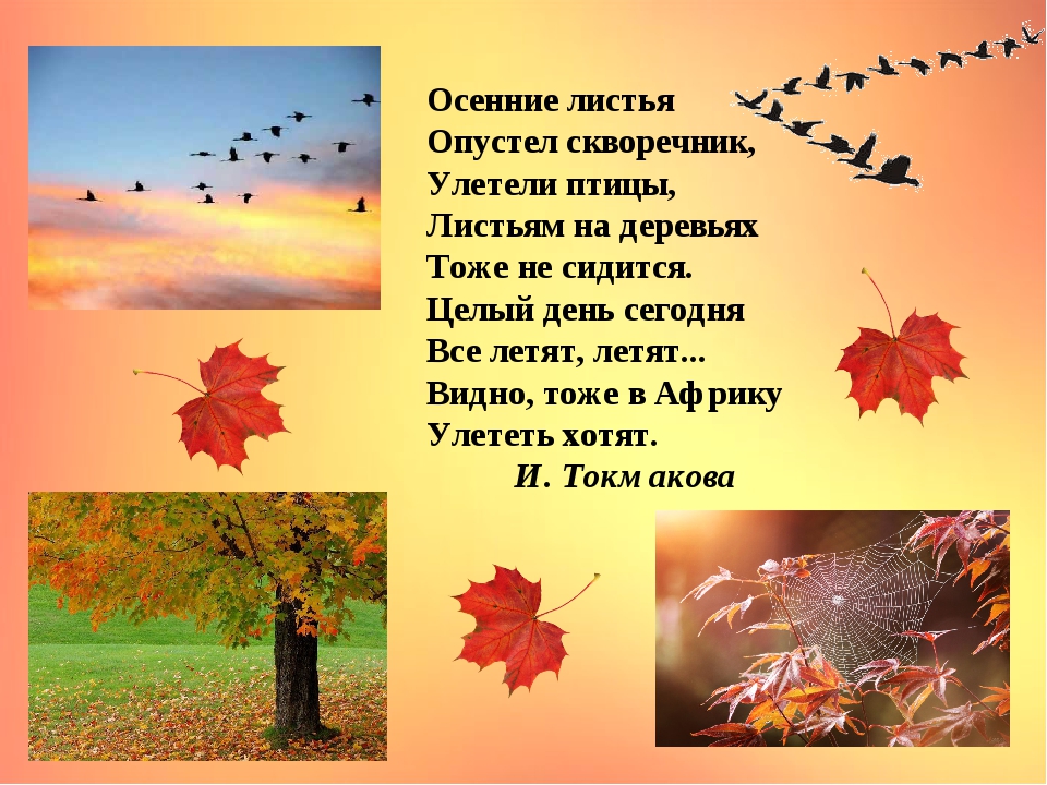 Стих осень наступила стали дни короче: Алексей Плещеев - Осенняя песенка: читать стих, текст стихотворения полностью