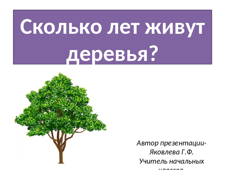 Сколько лет живет: Сколько лет в среднем живет человек в хороших условиях: факты