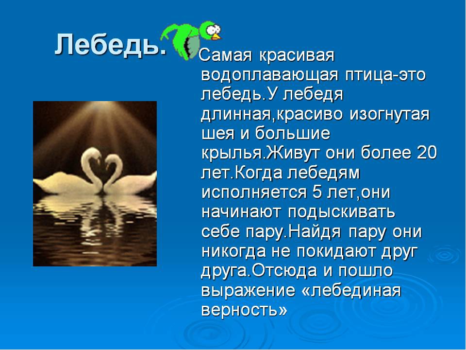 Загадки про лебедя: Загадки про лебедя для детей с ответами и картинками.