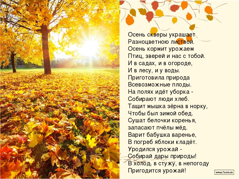 Стихи про осень для детей про урожай: Стихи на праздник урожая в детском саду