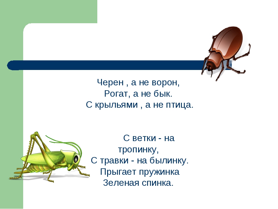 С крылышками а не птица: Загадка. Не птичка, а с крыльями. Что это?