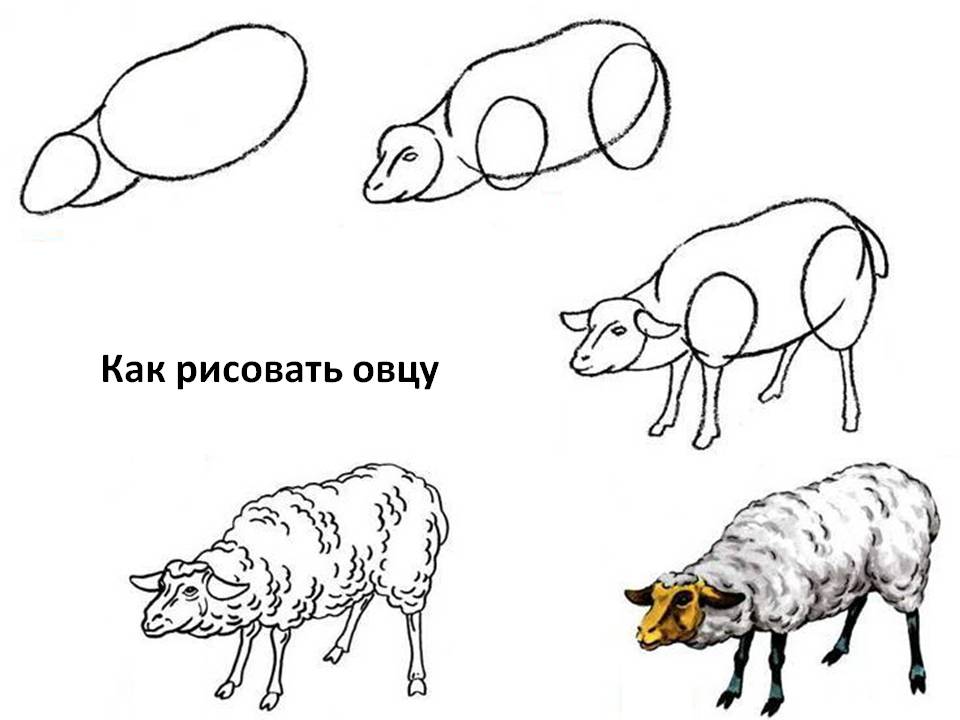 Рисуем барана: сказки, рассказы, развивающие игры и раскраски