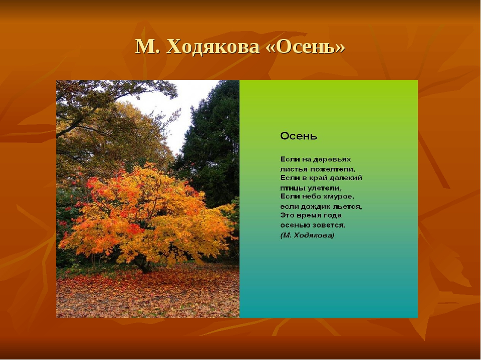 М ходякова если на деревьях листья пожелтели: Стихи про осень для чтения и заучивания. ГУО "Ясли-сад №3 г.Мяделя"