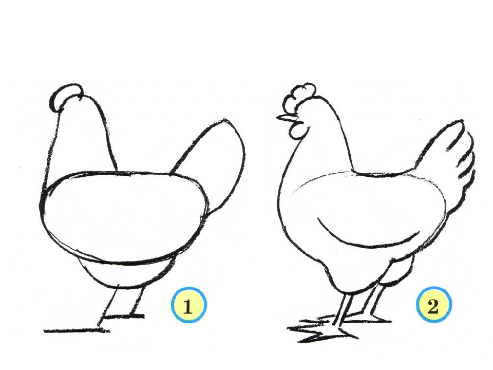 Рисуем курочку: Для детей: как нарисовать курочку