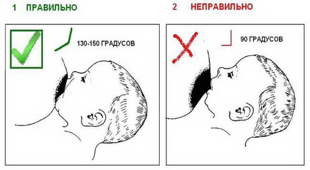 Как правильно кормить младенца грудью: советы доктора Комаровского