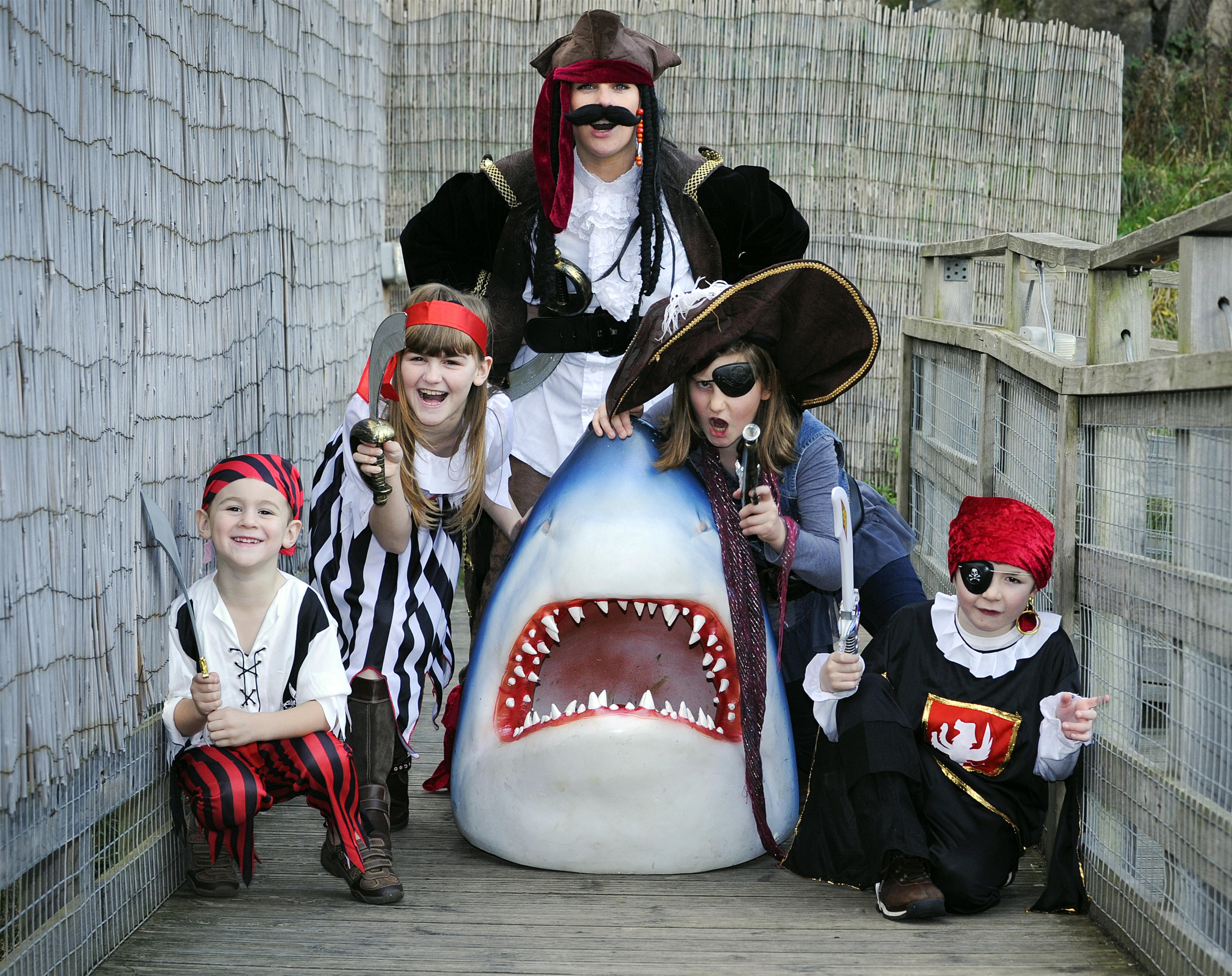 Пиратский праздник для детей: Обзор блогера о Пиратской вечеринке