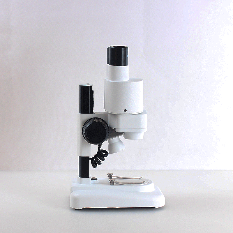 Как пользоваться микроскопом: Правила работы с микроскопом и его настройка – Как пользоваться микроскопом 🚩 инструкция микроскоп детский 🚩 Хобби и развлечения 🚩 Другое
