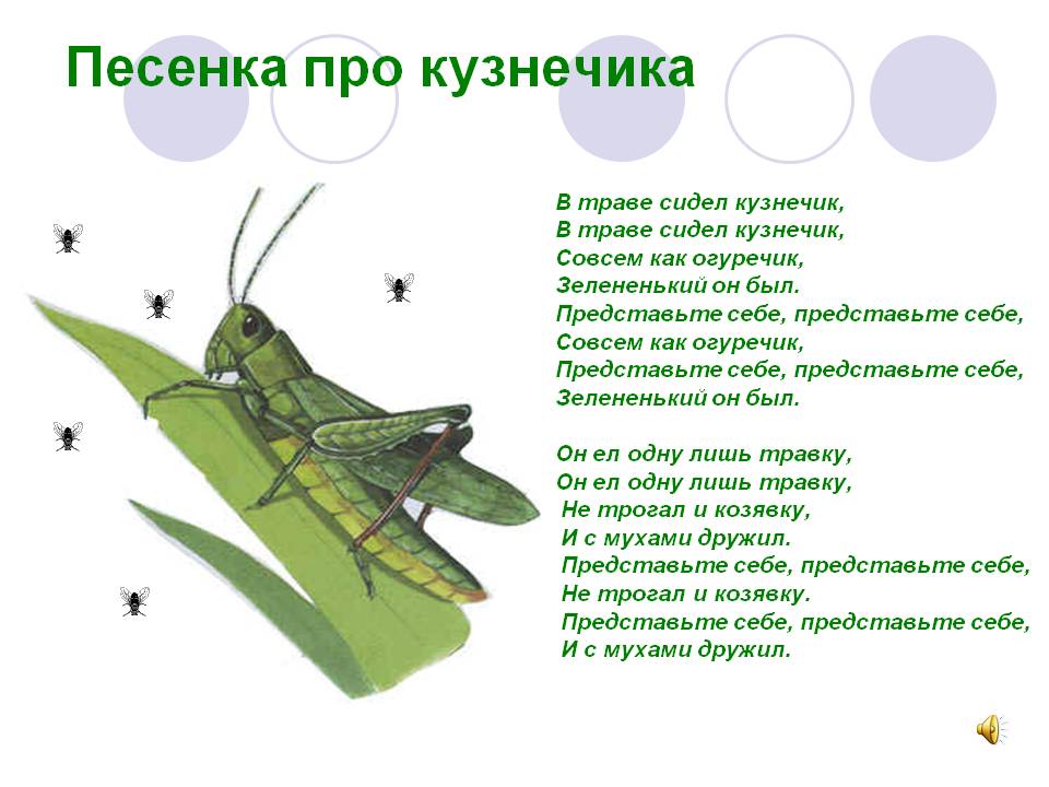 Песня в траве сидел кузнечик совсем как огуречик: Песня В траве сидел кузнечик слушать онлайн и скачать